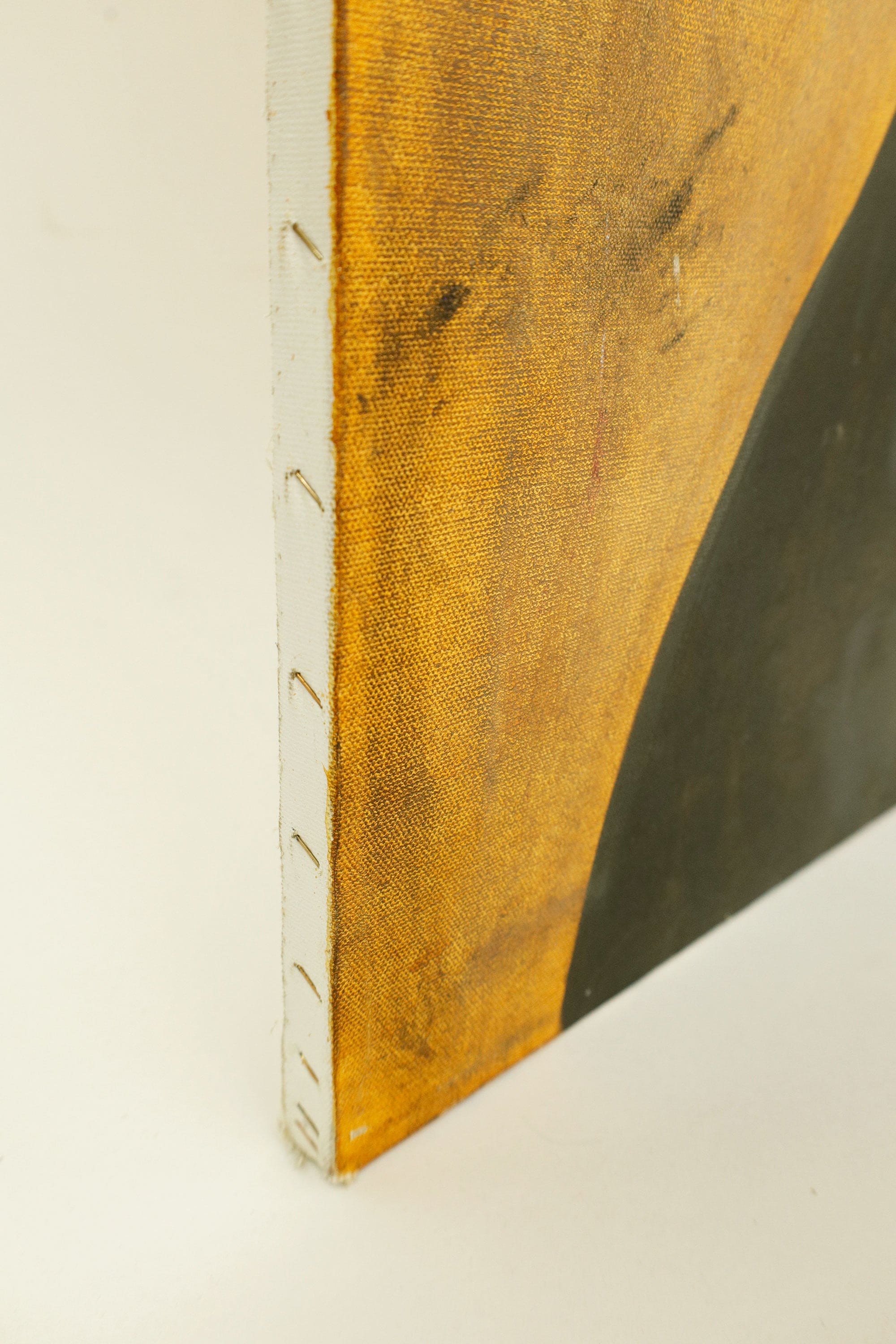 Untitled Dog Portrait – Acrylic on Canvas, Unknown Artist